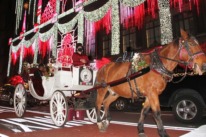 Magical Evening Horse-Drawn Carriage through NYC (65 min) - Rockefeller Center: The Lights Hit Different on a Horse Carriage