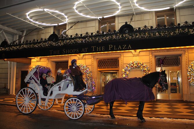 Magical Evening Horse-Drawn Carriage through NYC (65 min) - Sixth Avenue and the Avenue of the Americas Factor