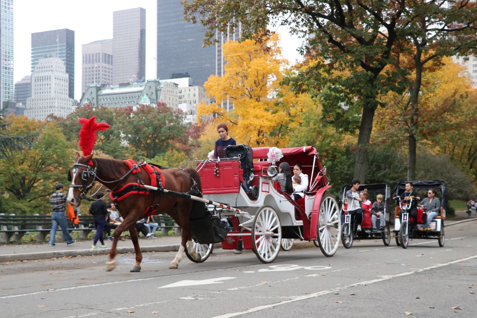 Manhattan: VIP Private Horse Carriage Ride in Central Park - Key highlights worth your attention