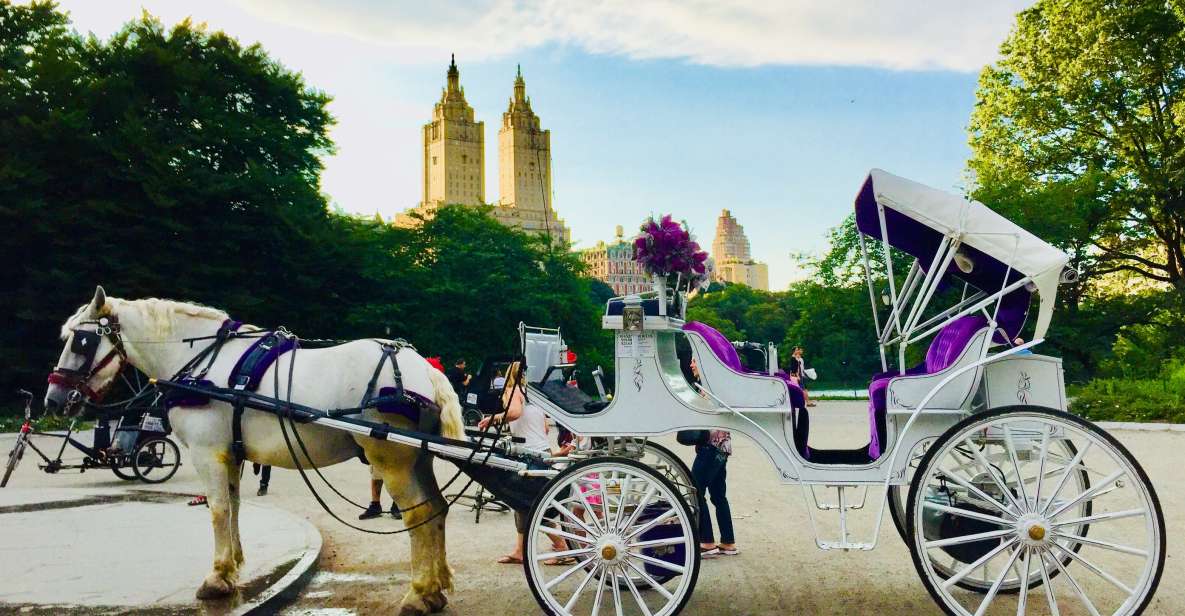 Manhattan: VIP Private Horse Carriage Ride in Central Park - How the 1-hour format works (and who it suits)