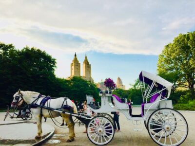 Manhattan: VIP Private Horse Carriage Ride in Central Park - What the VIP private carriage ride really gives you