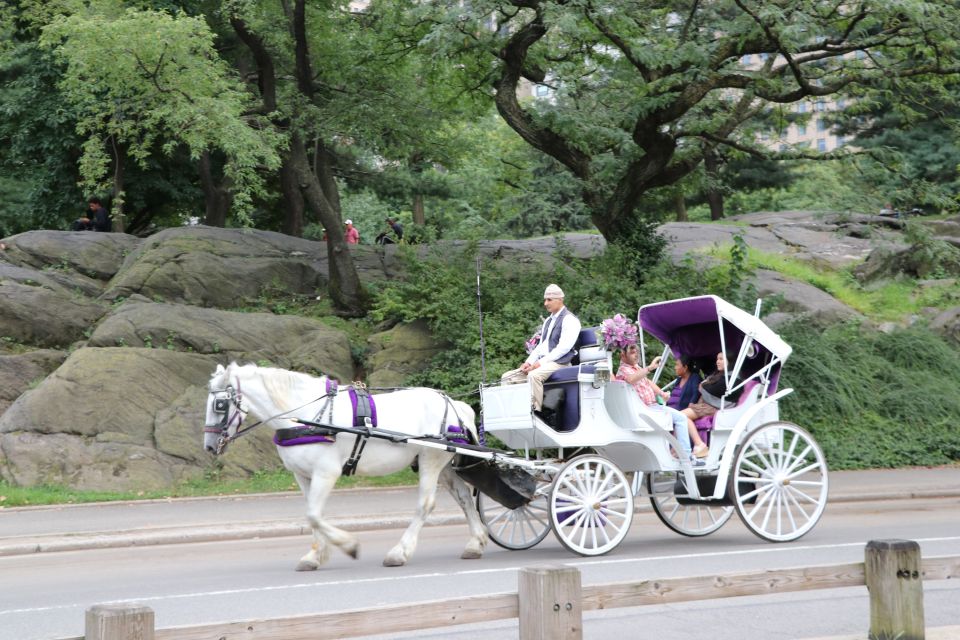 Manhattan: VIP Private Horse Carriage Ride in Central Park - The Cherry Hill Fountain photo stop: how to use it best