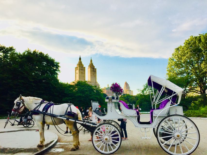 Manhattan: VIP Private Horse Carriage Ride in Central Park - What the VIP private carriage ride really gives you