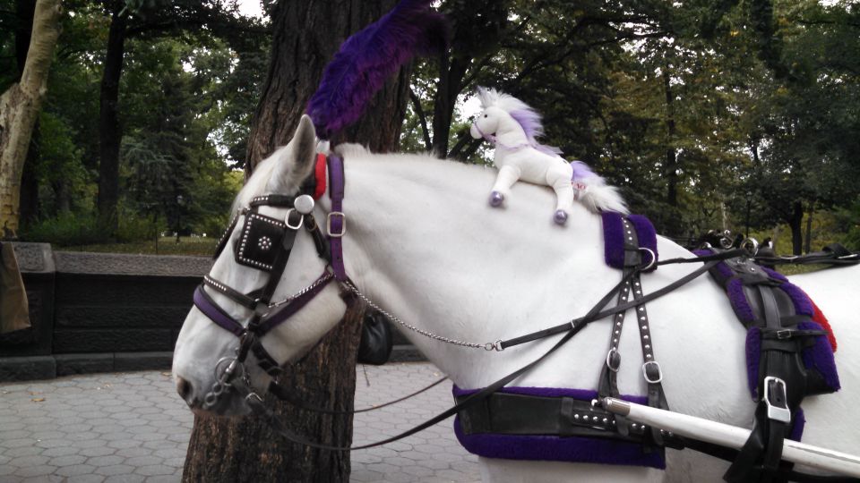 New York: Carriage Ride in Central Park - Guide styles: what you’ll likely notice from the driver