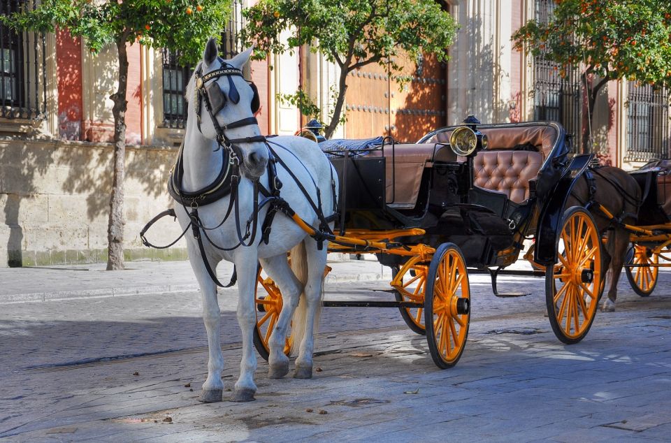 New York: Carriage Ride in Central Park - Price and value: $159 per group up to 5