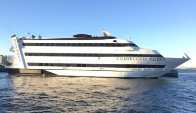 New York City: 4th of July Family Fireworks Party Cruise - Cruising the skyline: what you’ll see before the fireworks