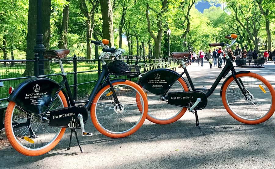 New York City: Best of Central Park Bike Tour - Why this 2-hour Central Park bike format works