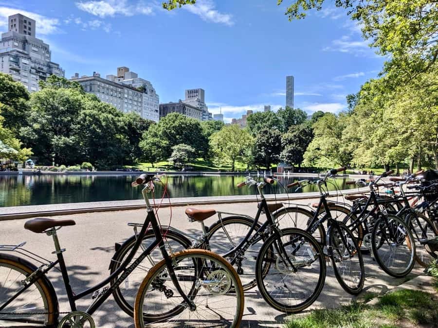 New York City: Best of Central Park Bike Tour - Strawberry Fields: meaning plus movie-scene energy
