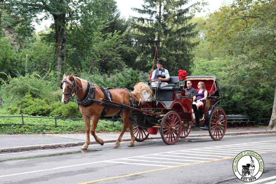 New York City: Central Park Horse Carriage 25-min Ride - Key things to know before you go