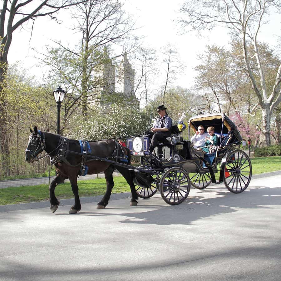 New York City: Central Park Horse Carriage 25-min Ride - Where the ride starts on West Drive (and how not to miss it)