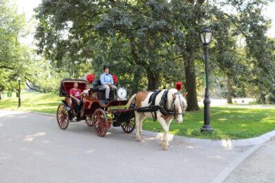 New York City: Central Park Horse Carriage 25-min Ride - What you’ll see in 25 minutes: Wollman Rink to the Victorian Dairy