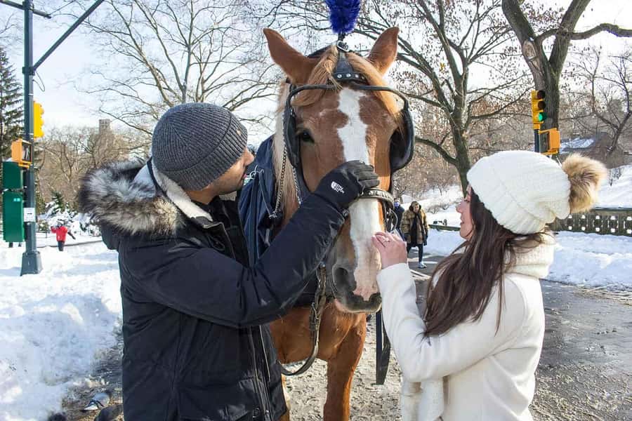New York City: Central Park Horse Carriage 25-min Ride - Driver + horse time: what makes it feel special
