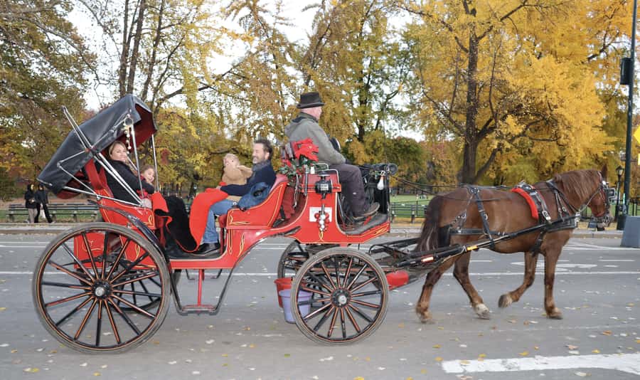 New York City: Central Park Horse Carriage 25-min Ride - Timing and weather: the small details that make or break the experience