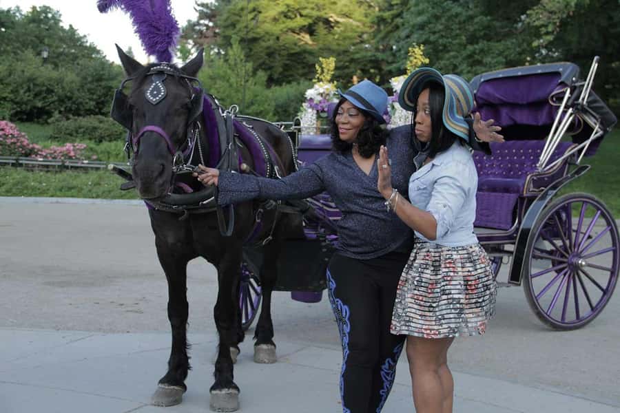 New York City: Central Park Horse Carriage 25-min Ride - Should you book the Central Park horse carriage ride?