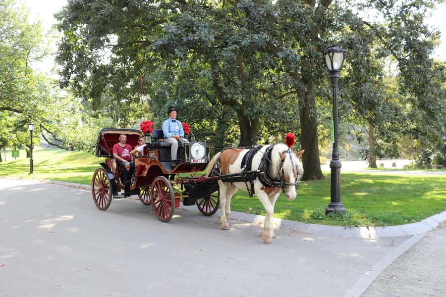 New York City: Central Park Horse Carriage 25-min Ride - What you’ll see in 25 minutes: Wollman Rink to the Victorian Dairy