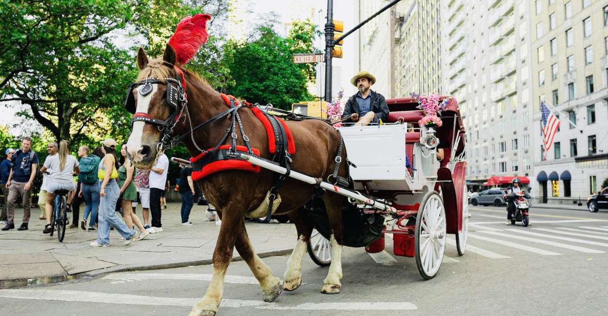 New York City: Central Park Private Horse and Carriage Tour - Key highlights worth planning for