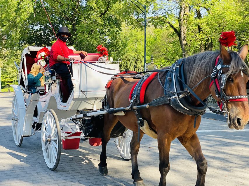New York City: Central Park Private Horse and Carriage Tour - Carousel, Central Park Zoo, and Early Photo-Friendly Landmarks
