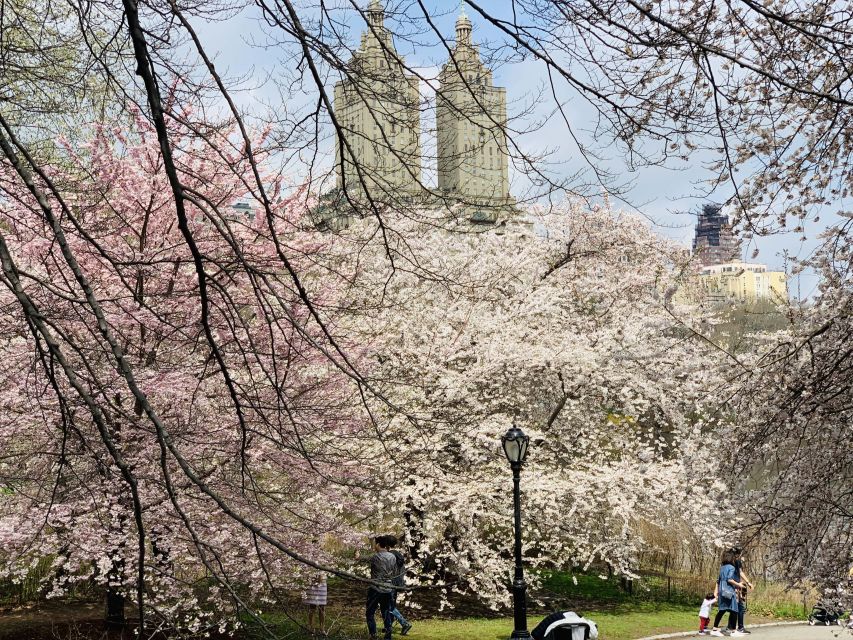 New York City: Central Park Private Horse and Carriage Tour - Cherry Hill, Bow Bridge, and Central Park Lake: The “Postcard Angle” Route
