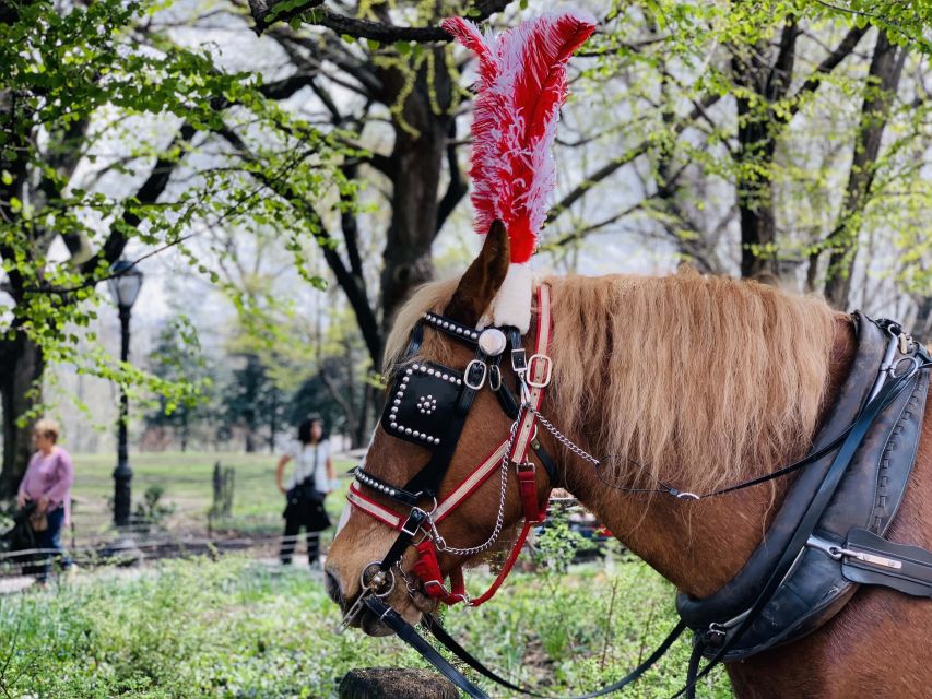 New York City: Central Park Private Horse and Carriage Tour - Price, Timing, and What to Expect from a 45–55 Minute Private Tour