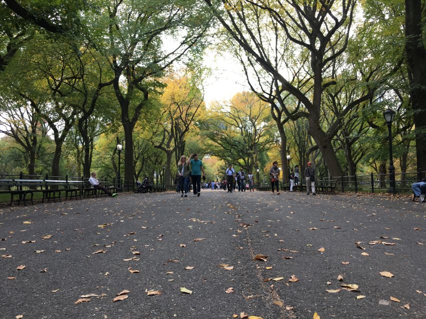 New York City: Central Park Tour by Pedicab - Your guide matters: what a top driver adds to the ride