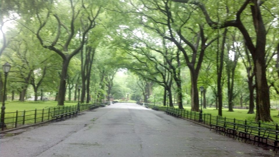 New York City: Central Park Walking Tour - Starting at Columbus Circle: your fast route into Central Park