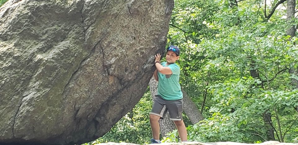 New York City: Central Park Walking Tour - The Woodland Ramble and the park’s quieter soundscape
