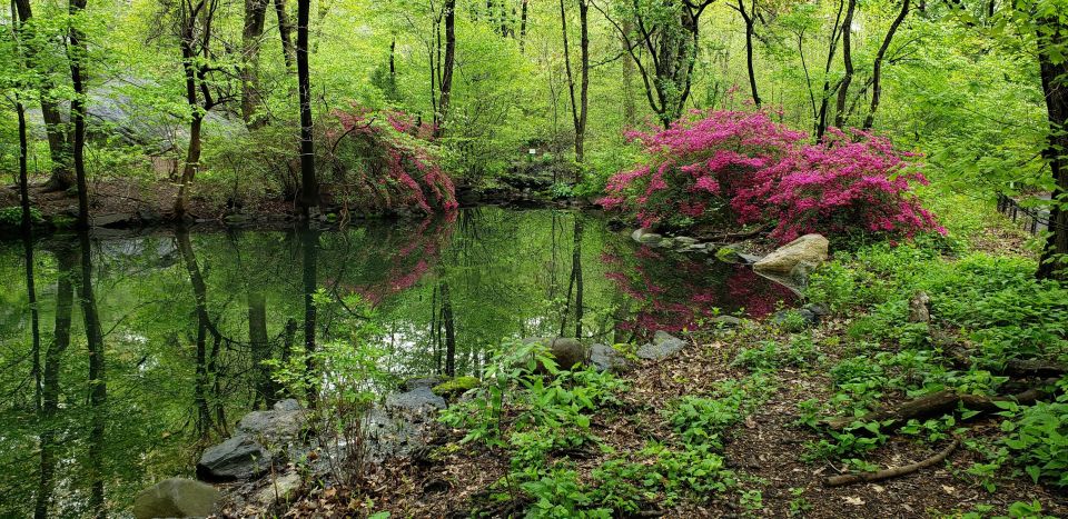 New York City: Central Park Walking Tour - Price and value: is $32 fair for Central Park in NYC?