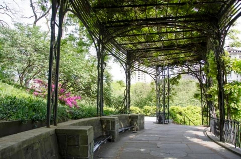 New York City : Central Park Walking Tour With A Guide - What the Guide Adds Beyond the Sights