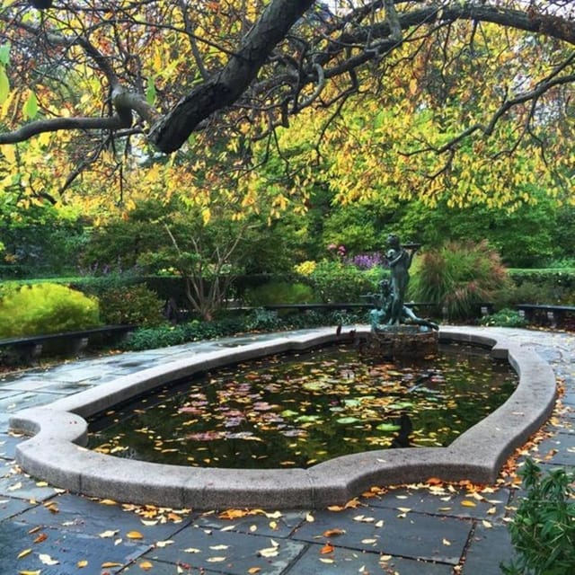 New York City : Central Park Walking Tour With A Guide - Who This Tour Suits Best