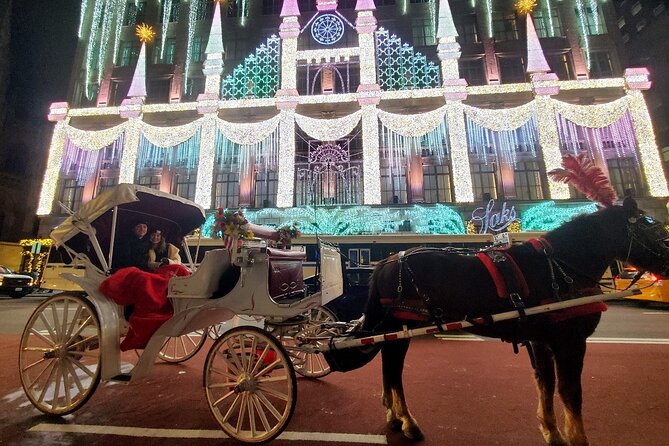 New York City Christmas Lights Private Horse Carriage Ride - Key things to know before you go