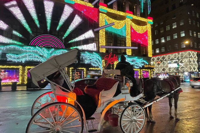 New York City Christmas Lights Private Horse Carriage Ride - A Private Carriage Route That Hits the Best Holiday Views