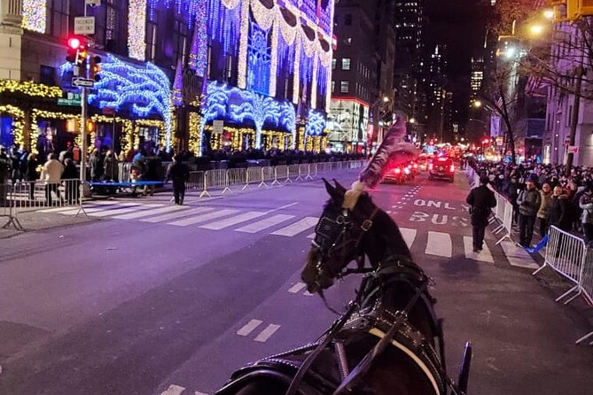 New York City Christmas Lights Private Horse Carriage Ride - Flagship Storefront Magic on the Avenue