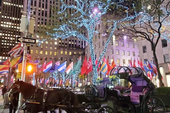 New York City Christmas Lights Private Horse Carriage Ride - What the Ride Feels Like: Comfort, Photo Stops, and the Horse Experience