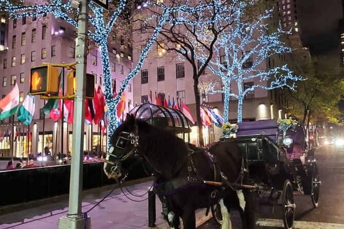 New York City Christmas Lights Private Horse Carriage Ride - Price, Value, and Who This Tour Fits
