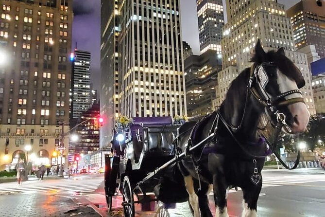 New York City Christmas Lights Private Horse Carriage Ride - Should You Book This NYC Christmas Lights Ride?