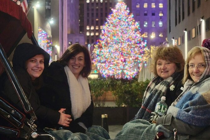New York City Christmas Lights Private Horse Carriage Ride - Central Park Start: Easy Access and Fast Holiday Momentum