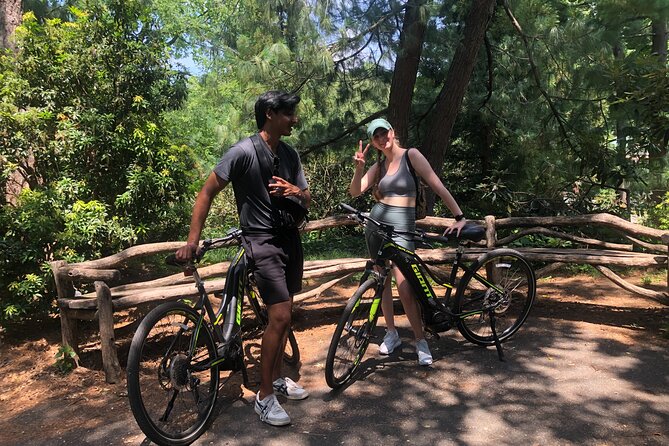 New York City E Bike Rentals - Downtown and the Brooklyn Bridge: planning for traffic and payoff
