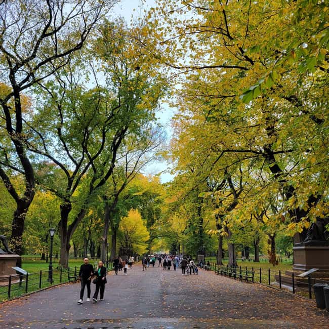 New York City: Gossip Girl Private Tour in Manhattan - The Palace-area moments and the Empire Hotel power stops