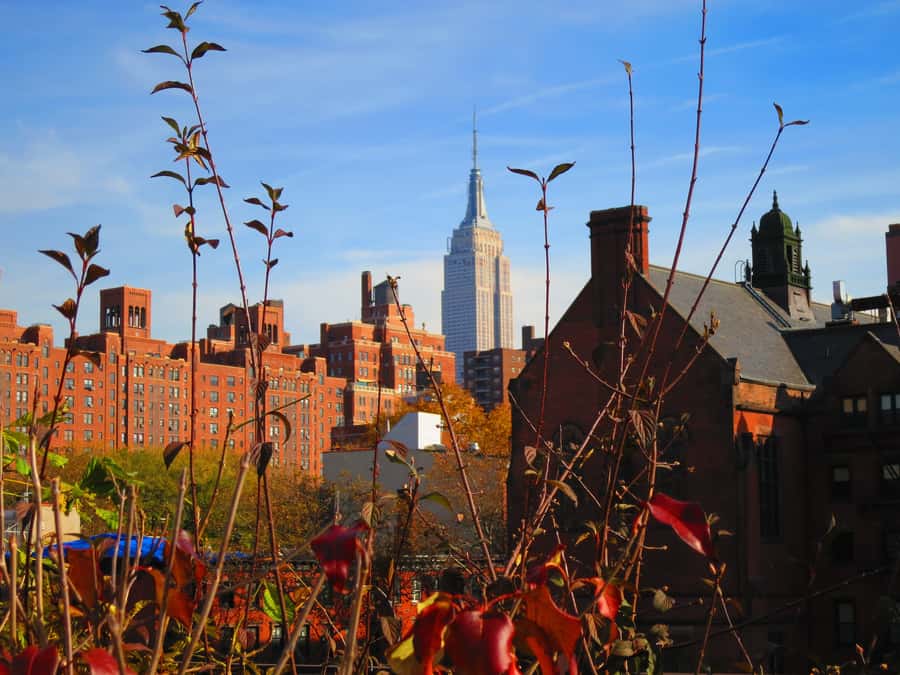 New York City: High Line Walking Tour - The botanical side: 225+ plant species on a former rail line