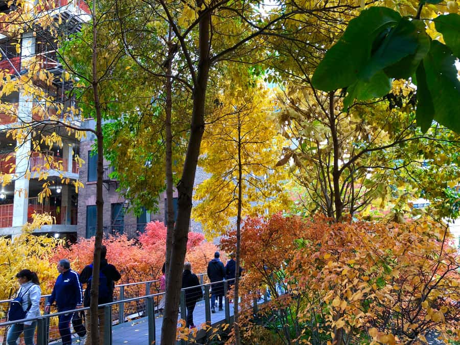 New York City: High Line Walking Tour - Architecture, art, and the small details your guide points out