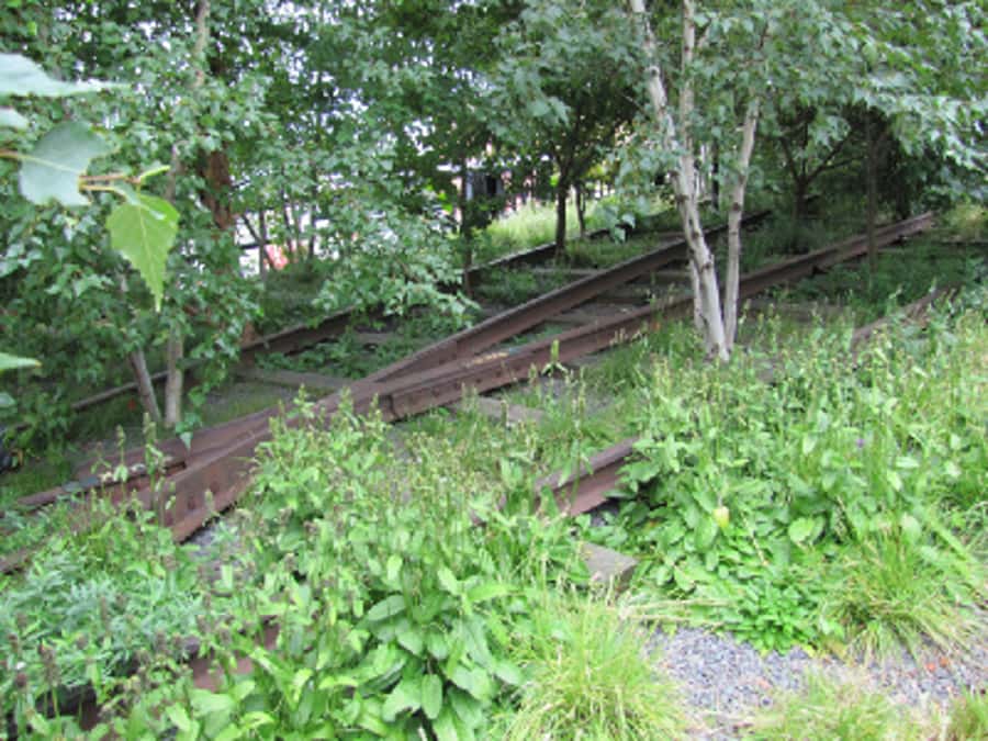 New York City: High Line Walking Tour - Who this tour suits best (and who might want a different plan)
