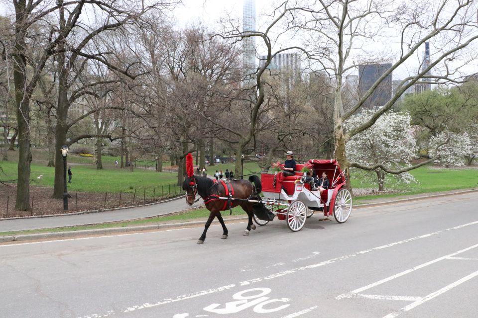 New York City: Horse Carriage Ride through Central Park - Key things to notice before you ride