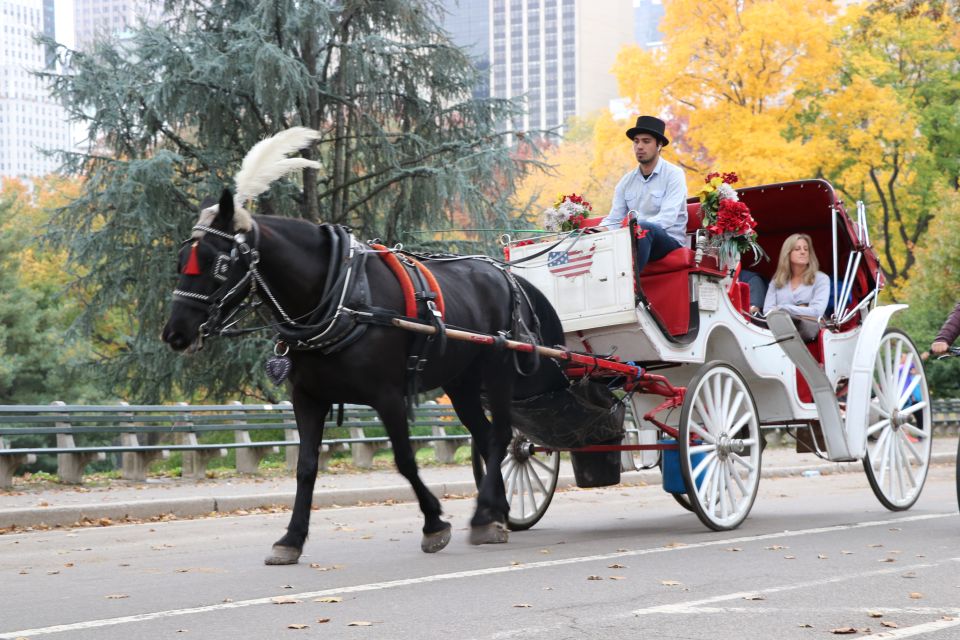 New York City: Horse Carriage Ride through Central Park - Value and price: is $215 worth it for a Central Park carriage?