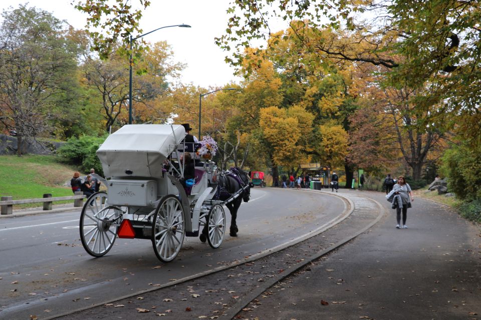 New York City: Horse Carriage Ride through Central Park - The loop through Central Park’s south side: views and landmarks you’ll recognize