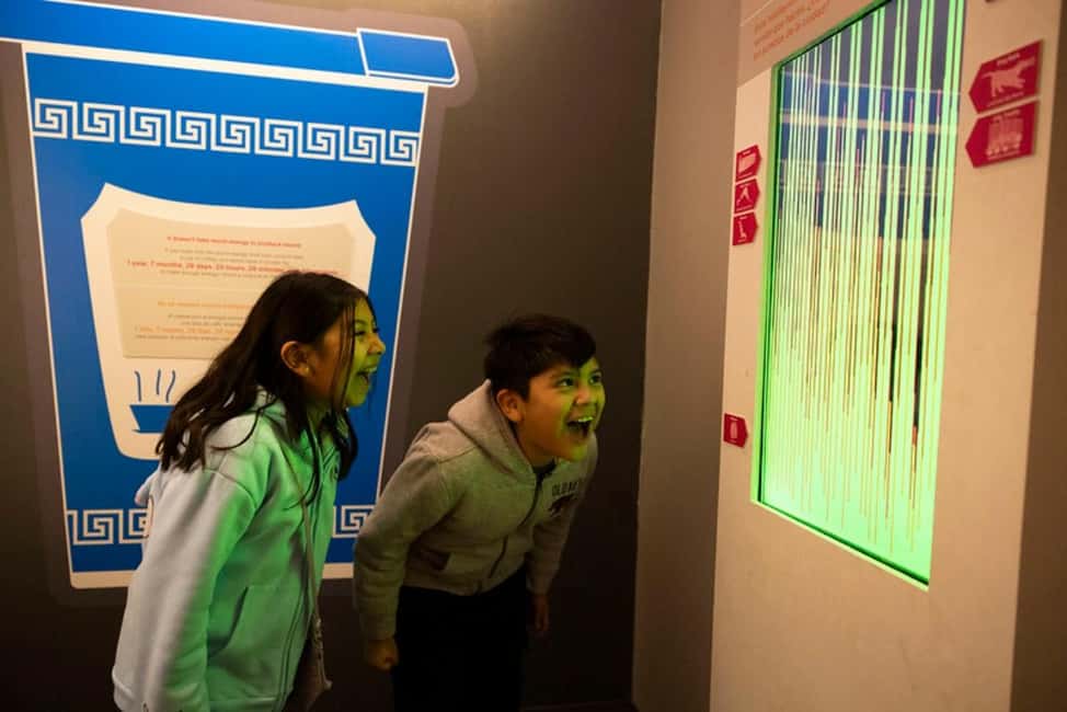 New York City: New York Hall of Science Admission Ticket - Seasonal Art and Science Exhibits: A Fresh Layer Each Visit