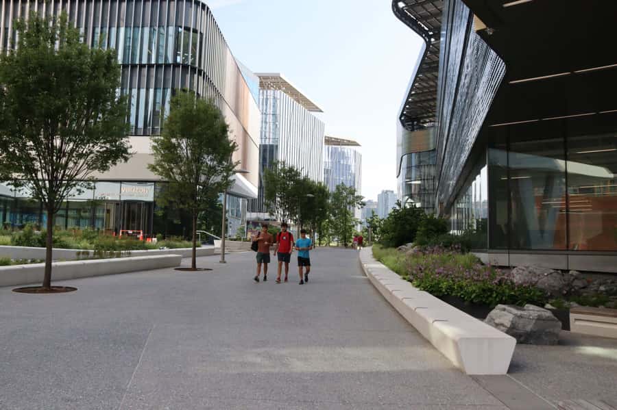 New York City: Roosevelt Island Walking Tour with Tram Ride - Key highlights you’ll actually care about