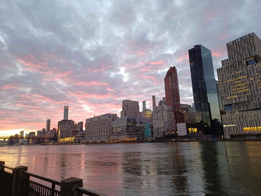 New York City: Roosevelt Island Walking Tour with Tram Ride - The Roosevelt Island Tram ride: a short journey with big city payoff