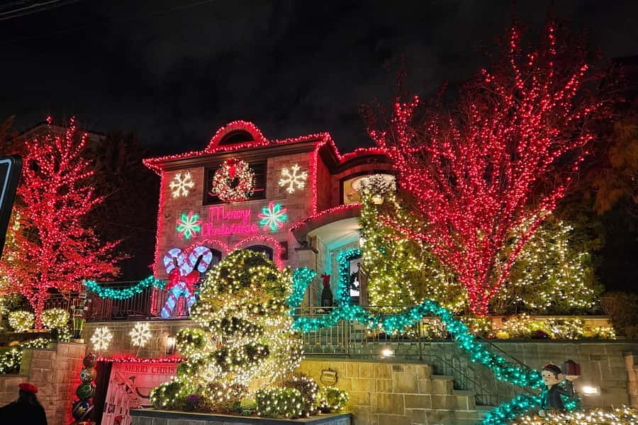 New York: Dyker Heights Christmas Lights Guided Walking Tour - Should you book the Dyker Heights Christmas Lights guided walking tour?
