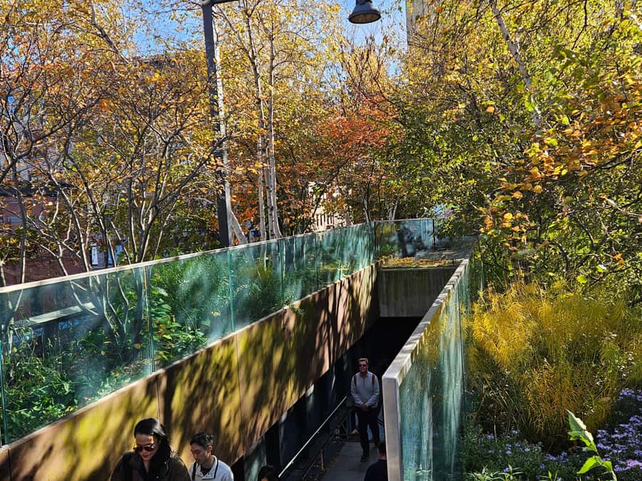 New York: High Line, Chelsea Market, and Vessel Guided Tour - Starting outside the Whitney: setting the art-and-design tone