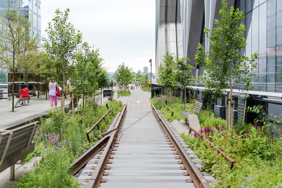 New York: High Line, Chelsea Market, and Vessel Guided Tour - High Line in real life: gardens, public art, and city views